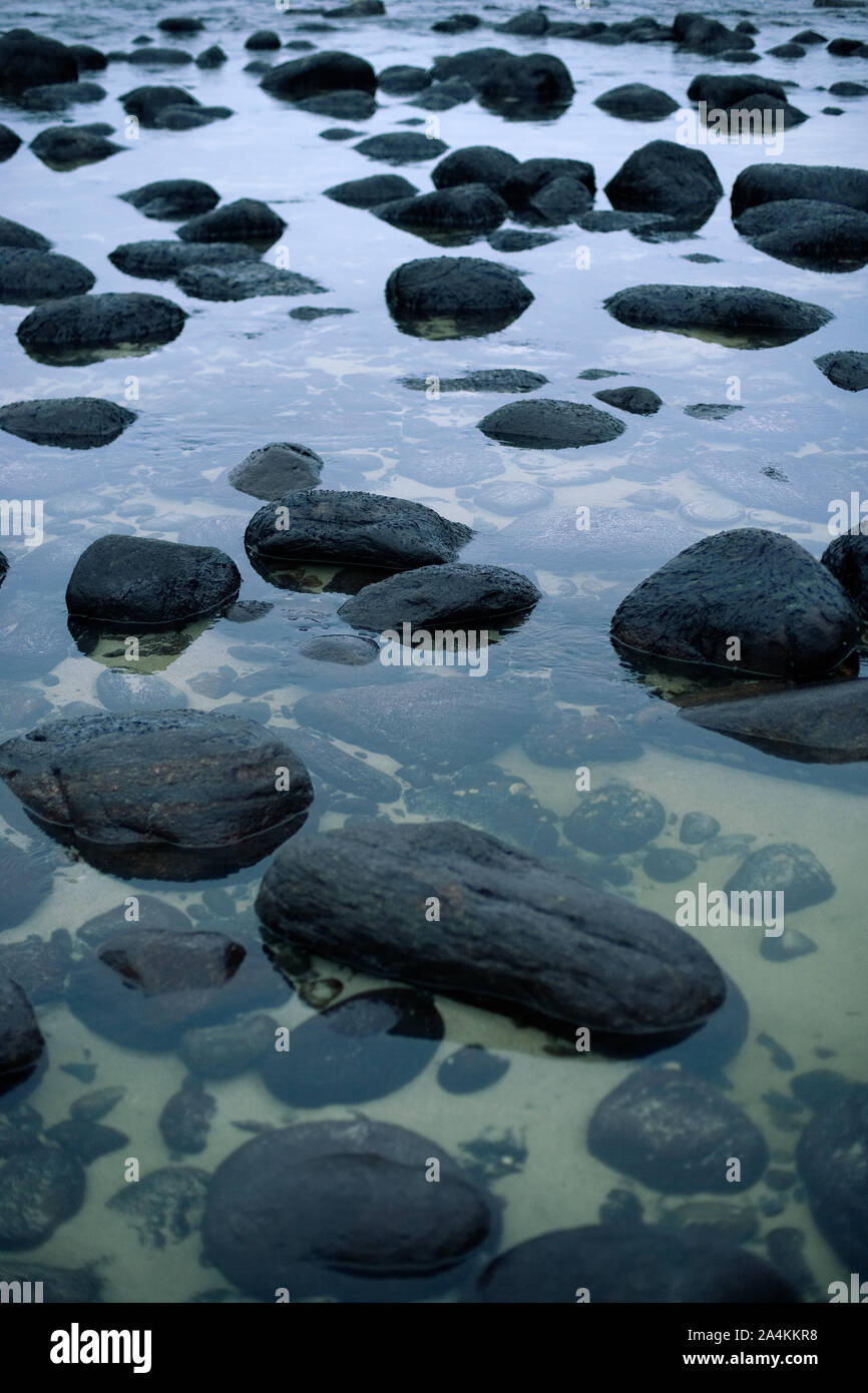 Steine im Wasser bei Ebbe Stockfoto