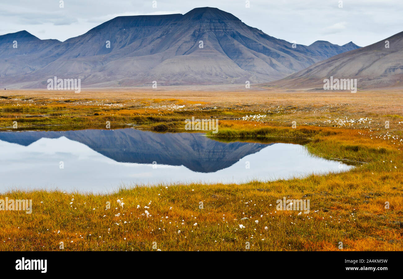 Berge Wasser Landschaft, Spitzbergen, Norwegen, Skandinavien Stockfoto