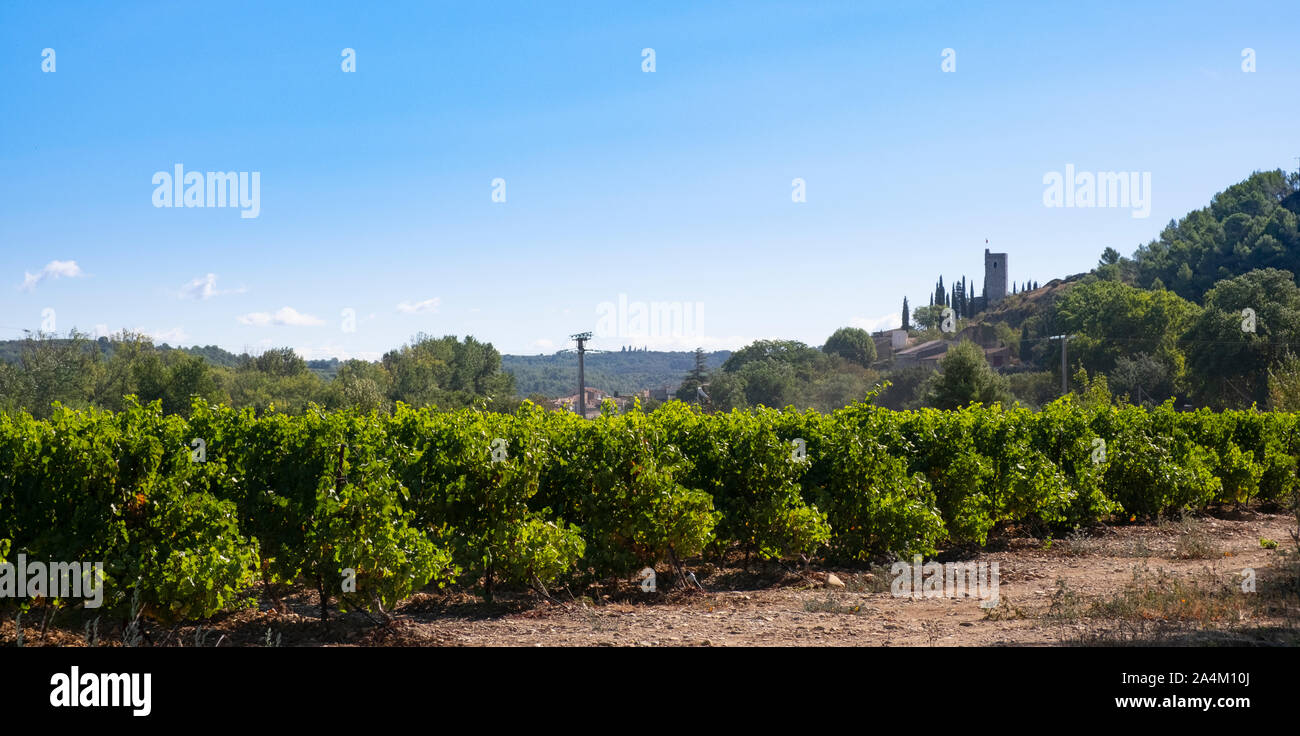 Cessenon-Sur-Orb, Herault, Languedoc, Frankreich. Weinberge neben der Stadt, mit einem Wachturm mit Blick auf das Tal Stockfoto