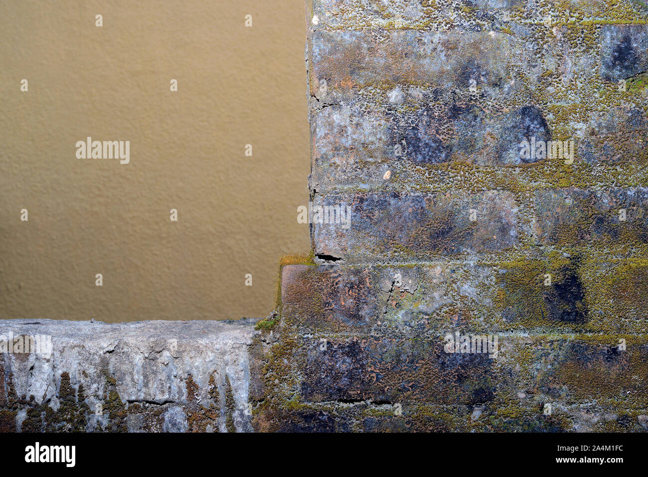 Alte Mauer mit grünem Moos, alter Backstein texturierte Wand Stockfoto