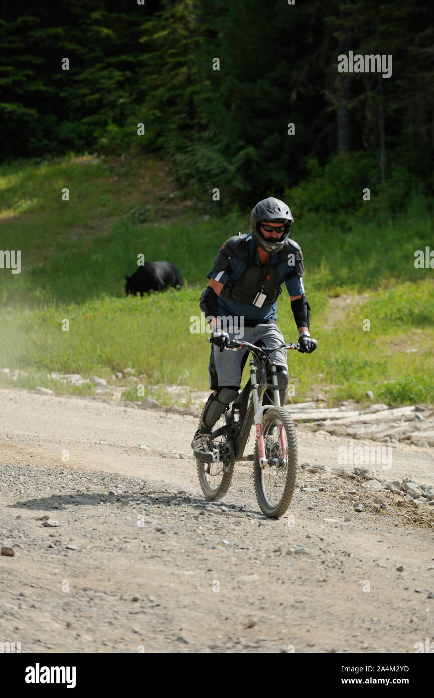 Mountainbike Whistler Bike Park, BC, Kanada Stockfoto