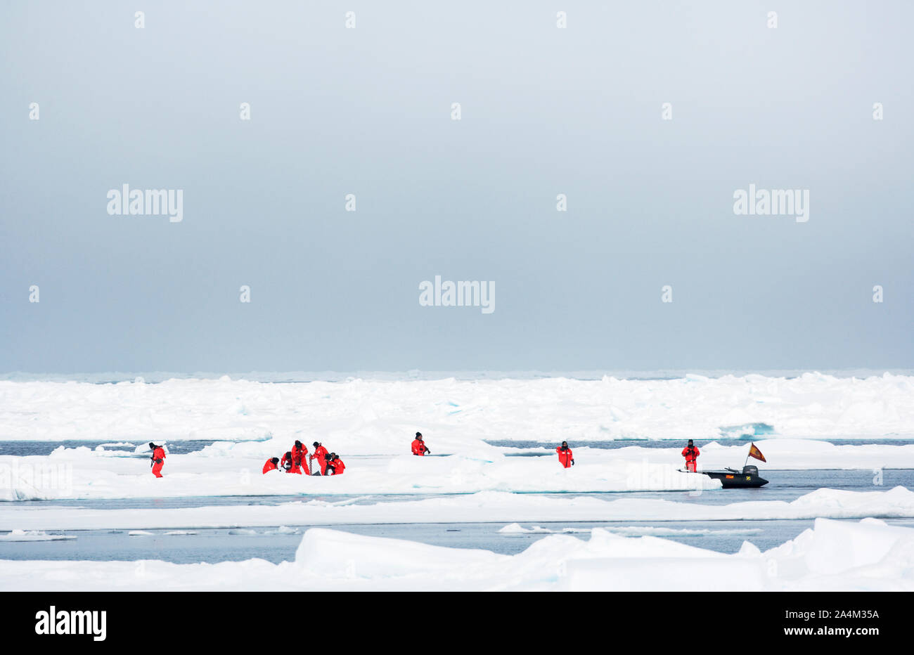 Wissenschaftliche Untersuchungen in der Arktis. Treibeis. Schwimmende Eis. Meereis. Spitzbergen (Svalbard). Stockfoto