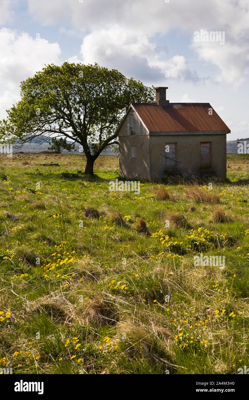 Altes haus von Gamlemshaugen in Haram Stockfoto