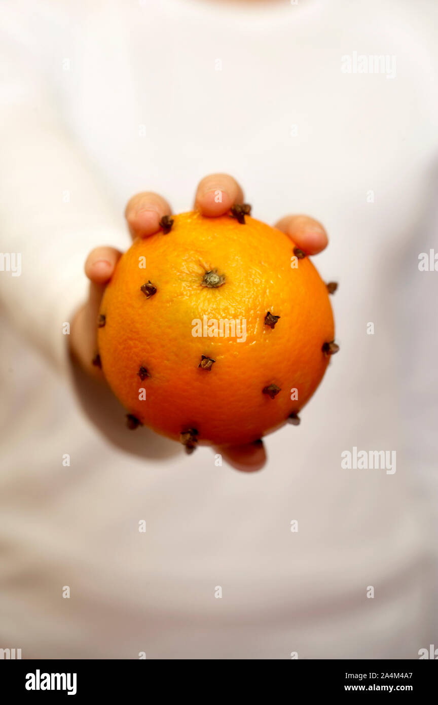 Adventskalender. 24 Nelken auf Orange. Stockfoto