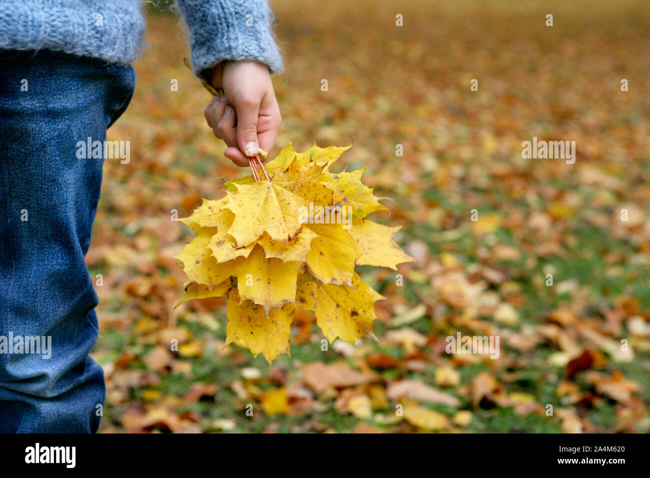 Mädchen mit Blättern in Ihrer Hand Stockfoto