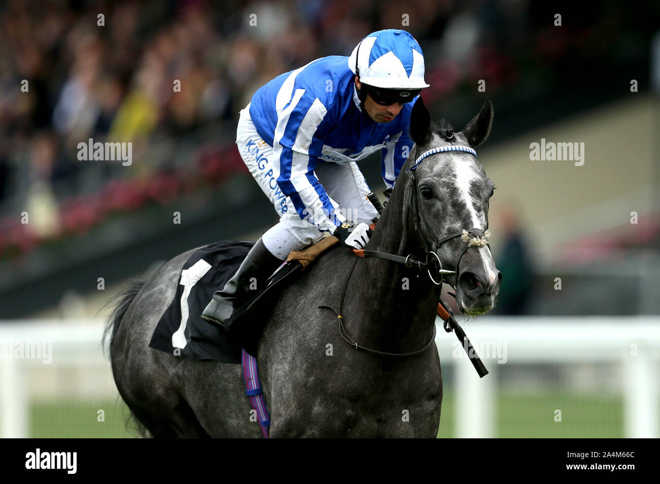 Morando geritten von Jockey Silvestre De Sousa, nachdem er die Eigenschaft Raceday Ziele £ 3 M Cumberland Lodge Stangen bei Ascot Racecourse. Stockfoto