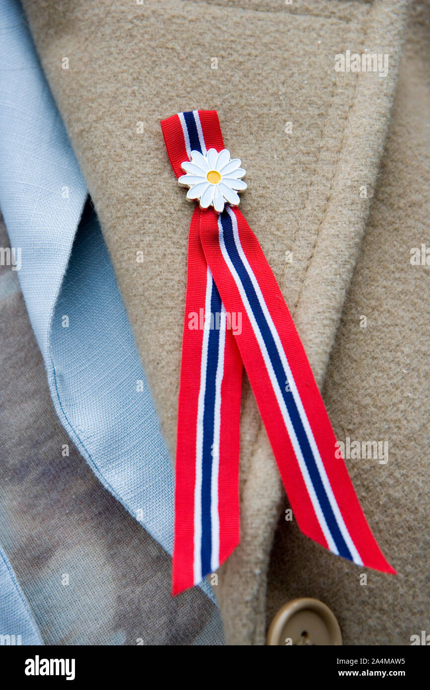 17 Mai Bug (Riegel)/Band-Dekoration am Revers Stockfoto