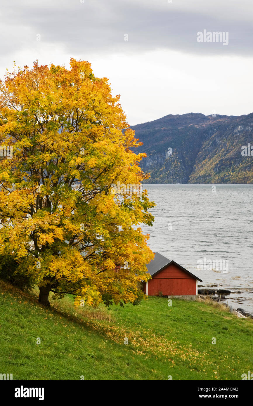 Dyrkorn - die Fjord Stockfoto