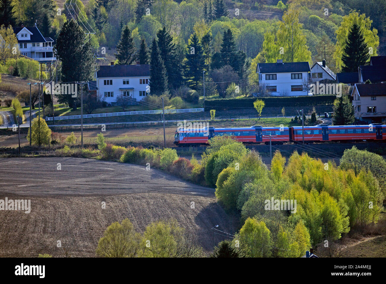 Zug auf die Bahn, Hadeland, Skandinavien, Norwegen Stockfoto