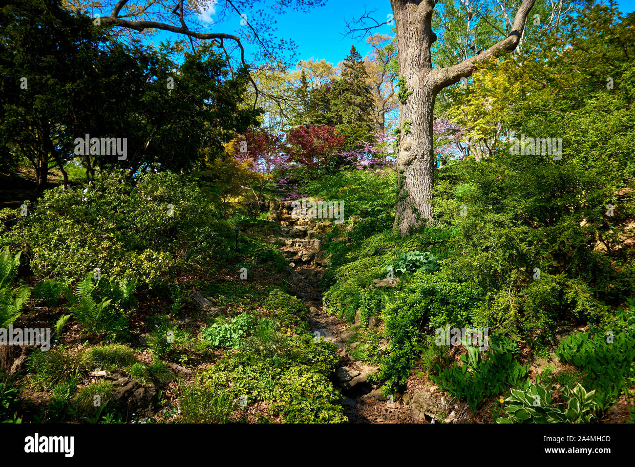 Toronto High Park Stockfoto