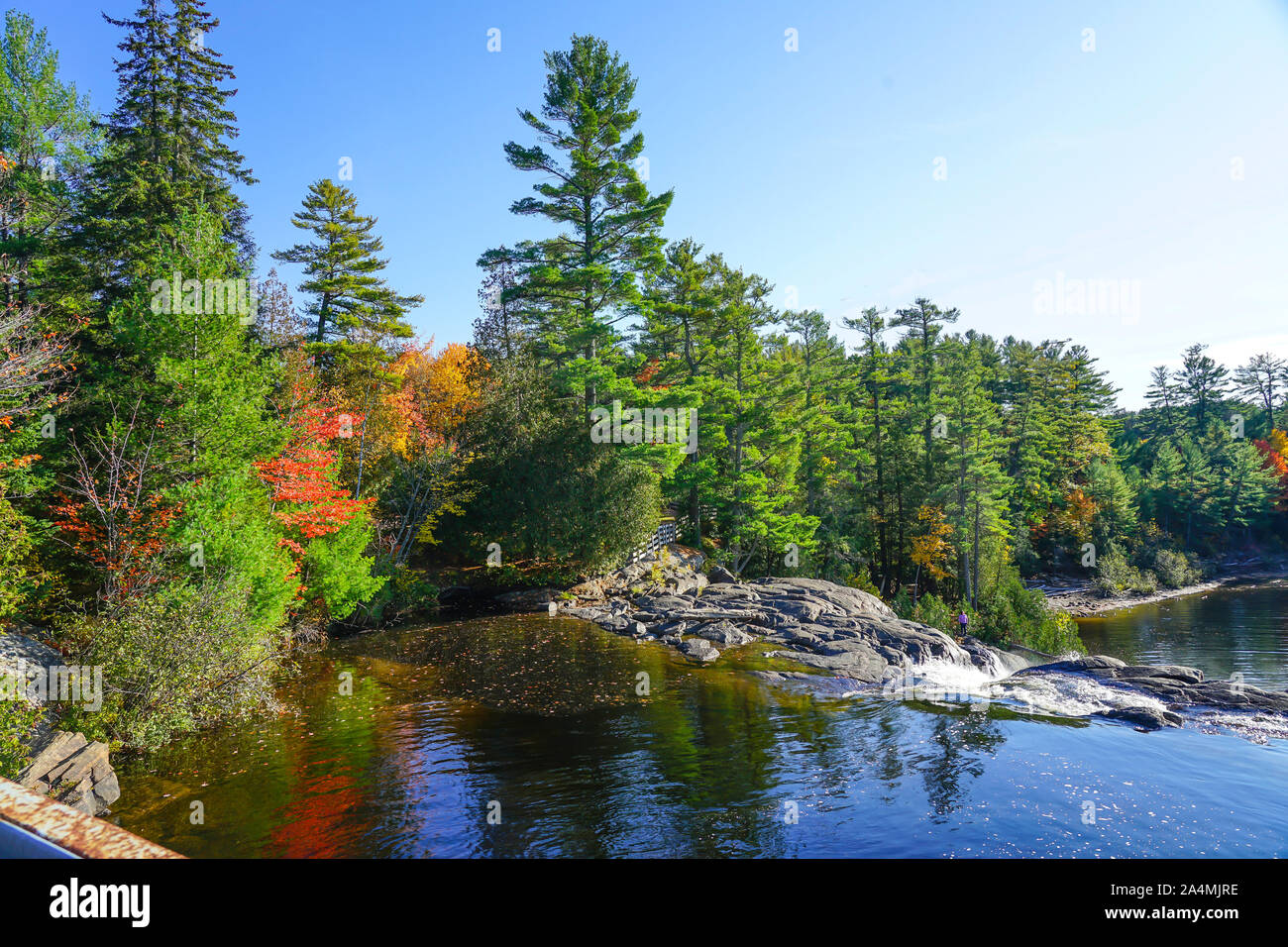 Herbst Szene in Baysville und hohe Wasserfälle in der Nähe von Bracebridge, Ontario, Kanada in Muskoka mit schönen und bunten Bäume im Herbst folige. Stockfoto