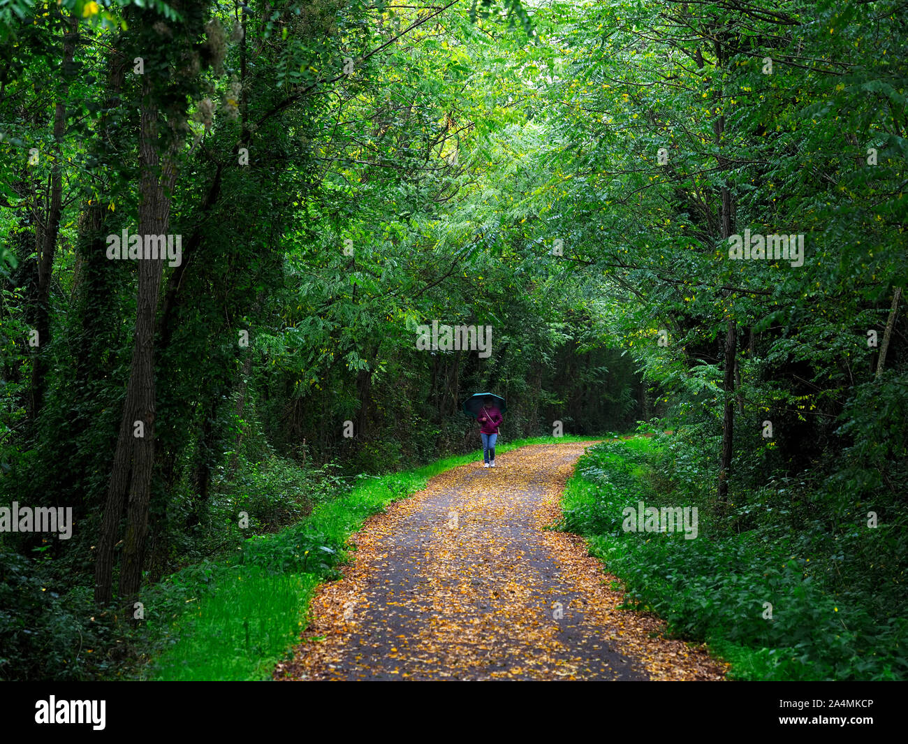 AULLA, LUNIGIANA, ITALIEN - Oktober 14, 2019: Die aulla Greenway ist ein Rad- und Fußweg die Nutzung der alten Bahnstrecke. Flucht in die Natur. Stockfoto