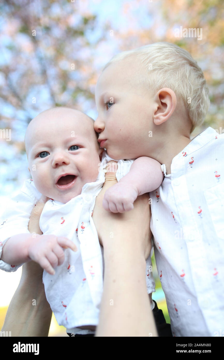 Junge küssen Baby Bruder Stockfoto