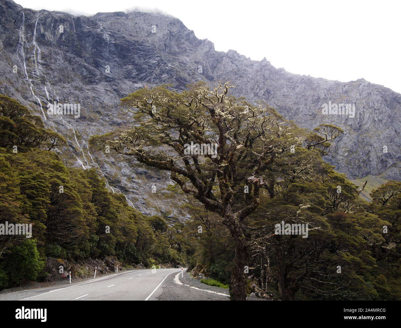 Unberührte Lebensräume im Fjordland National Park, Südinsel Neuseeland Stockfoto