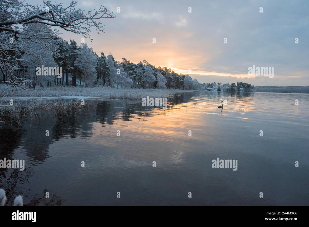 Sonnenuntergang am See Stockfoto