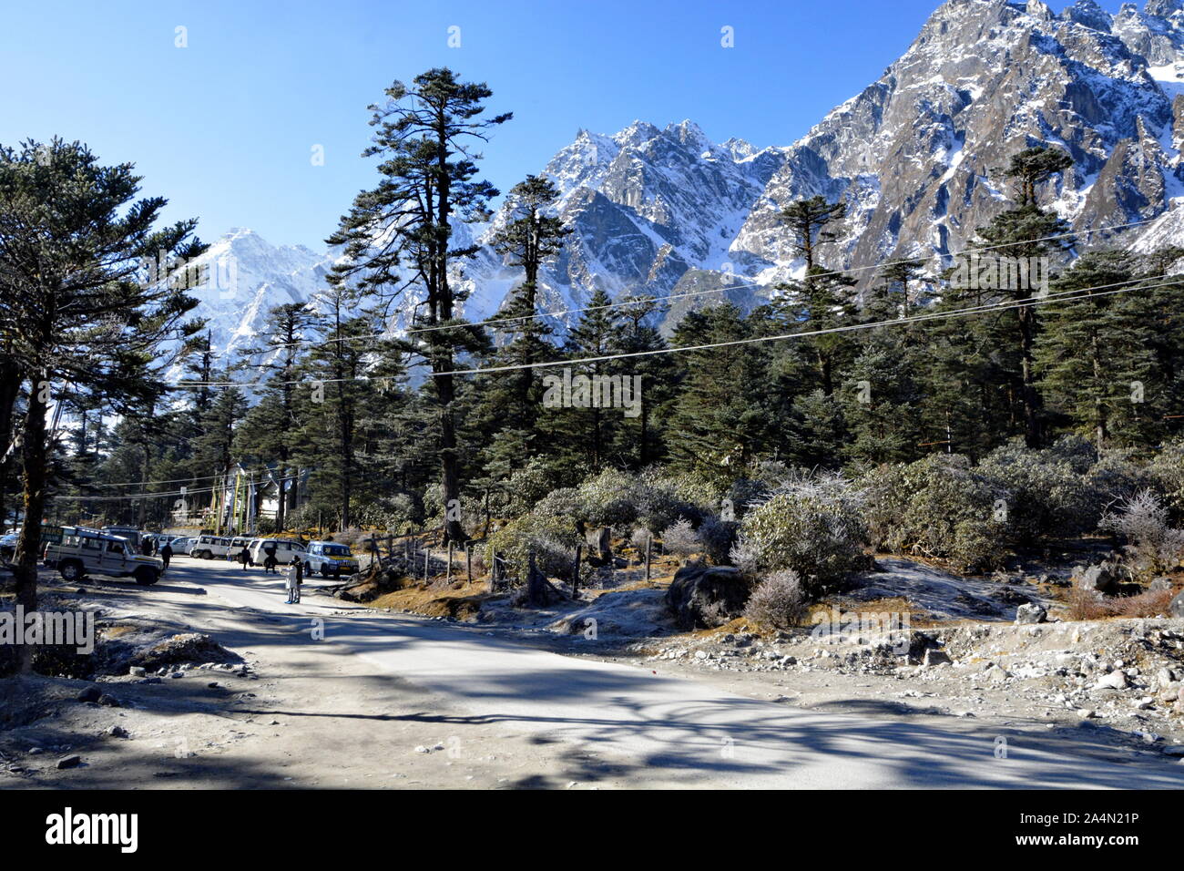 Yumthang Tal Sikkim Stockfoto