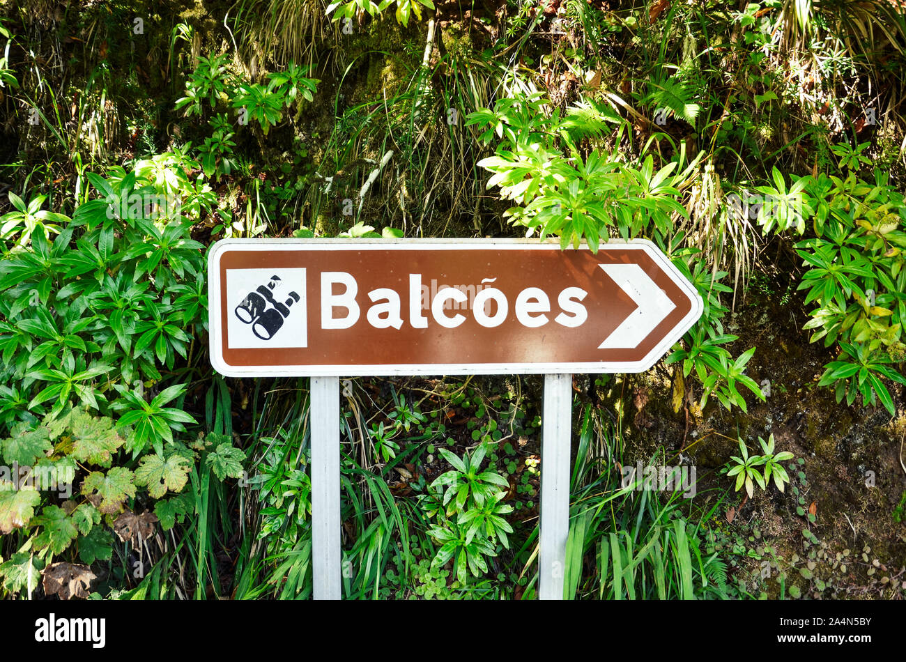 Brown Tourist Richtung geben dem berühmten Levada dos Balcoes Trail in Madeira, Portugal. Informationen Zeichen, Marking System. Grünen Wald im Hintergrund. Stockfoto