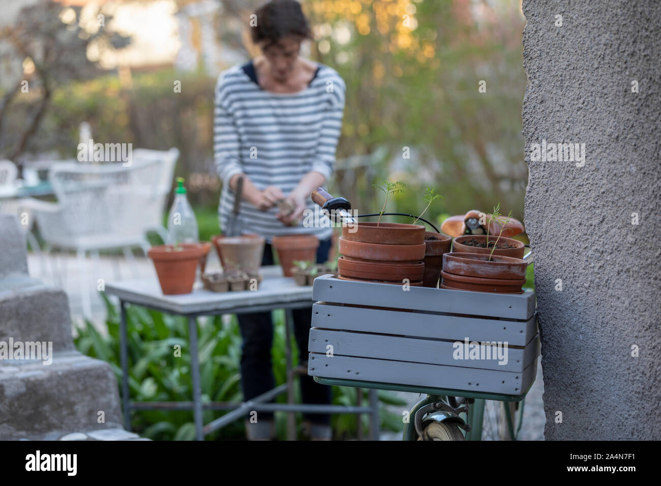 Frau, Blumen Pflanzen Stockfoto