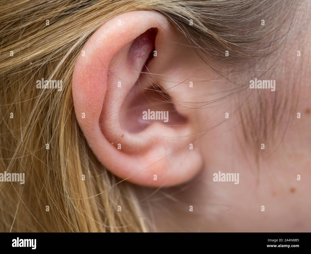 Brille Drückt Auf Nerv Hinterm Ohr Trigeminal Nerv Stockfotos und -bilder Kaufen - Alamy