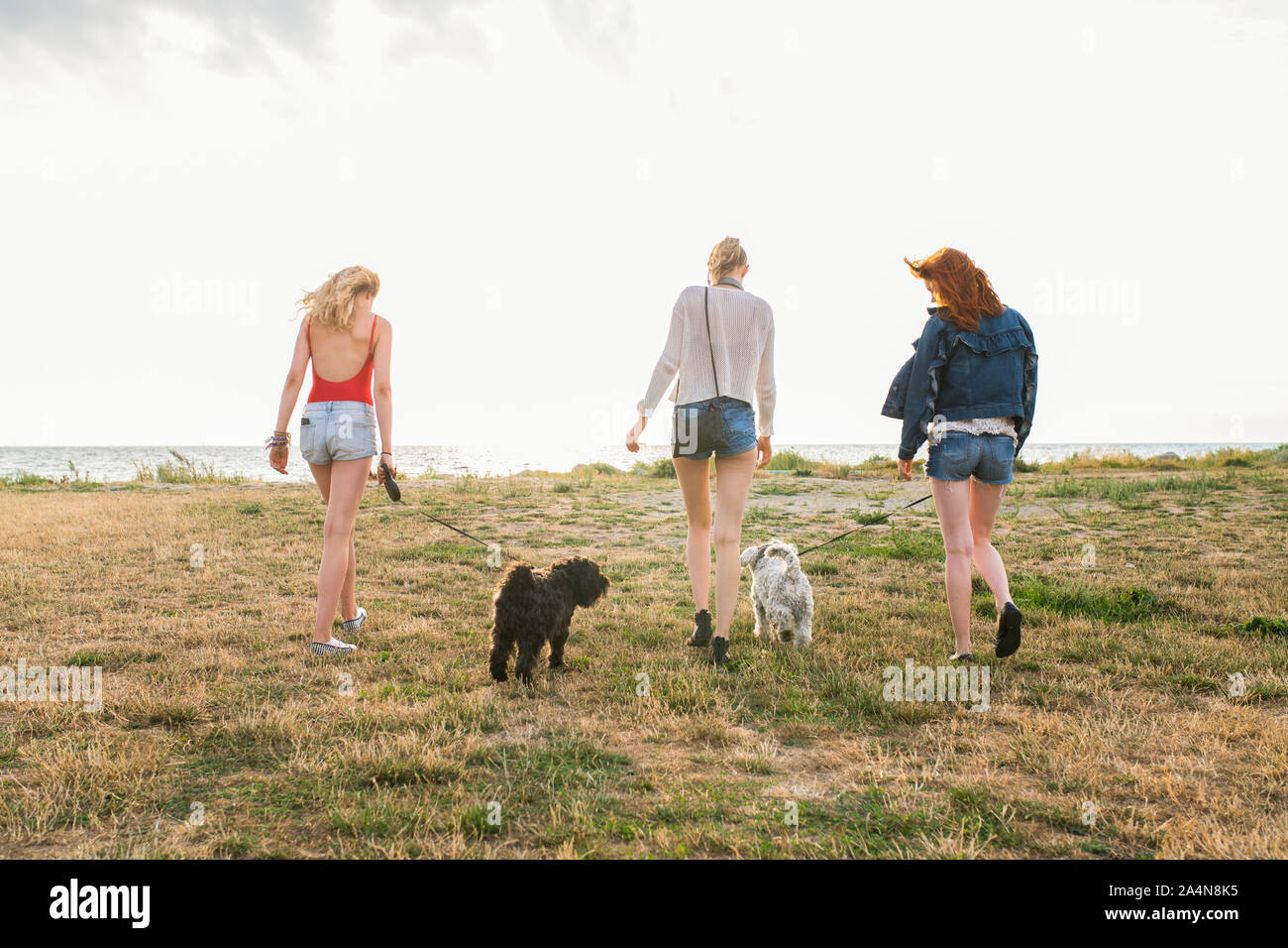 Frauen Mit Hunden Ein Unwiderstehliches Duo Mehr Als Nur Ein Spaziergang Im Park