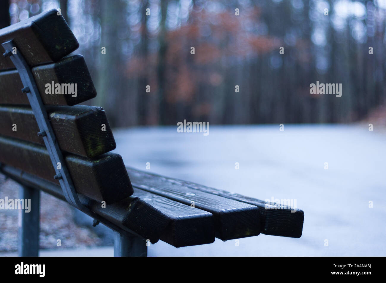 Einen leeren Parkbank an einem kalten Wintertag. Stockfoto