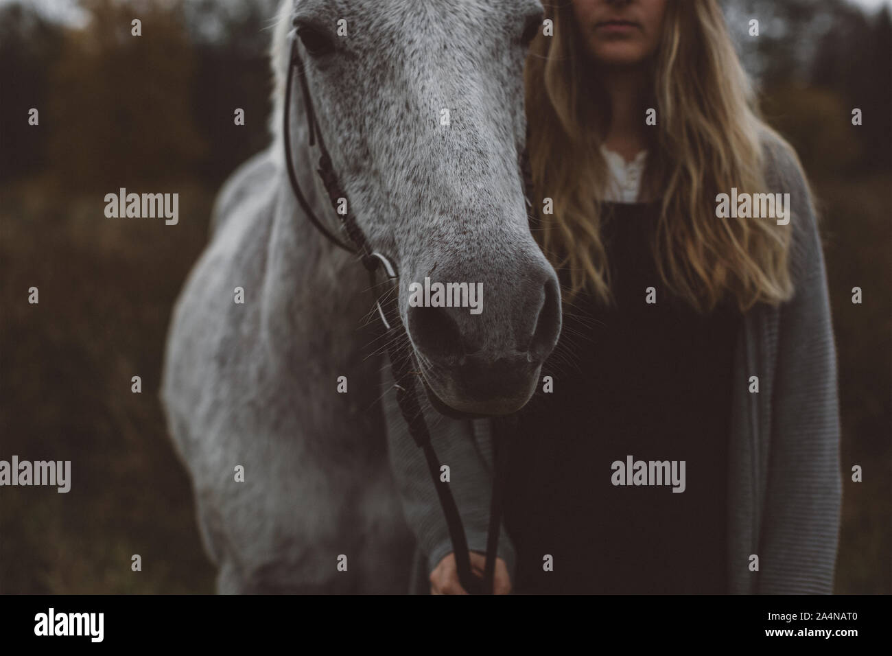 Junge Frau mit Pferd im Feld Stockfoto