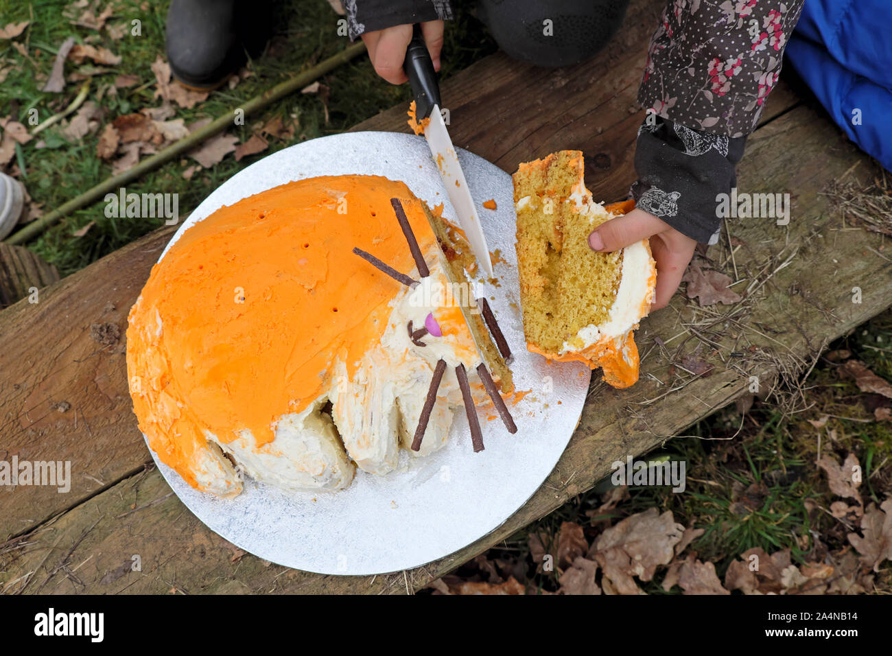 Mädchen, dass ein Messer in die Hand schneiden der Leiter Ihrer orange Katze Geburtstag Kuchen mit ihren sechsten Geburtstag party außerhalb in Wales UK KATHY DEWITT Stockfoto