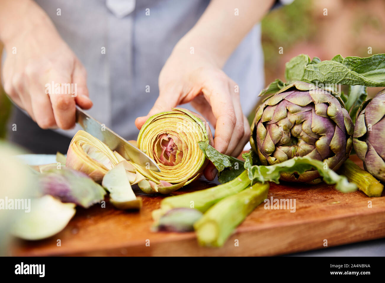 Person schneiden frische Artischocken Stockfoto