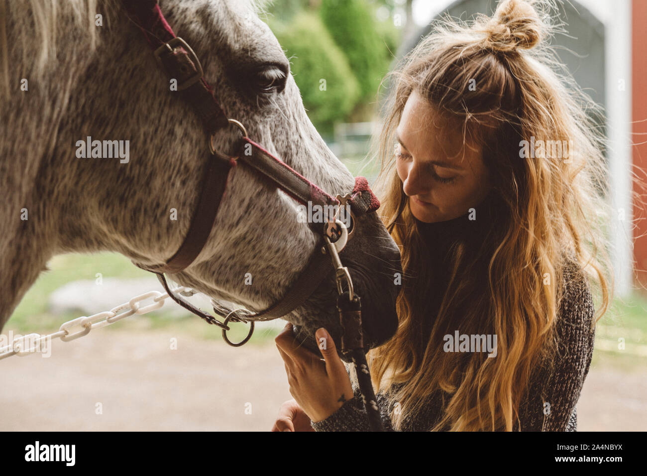 Frau mit Pferd Stockfoto