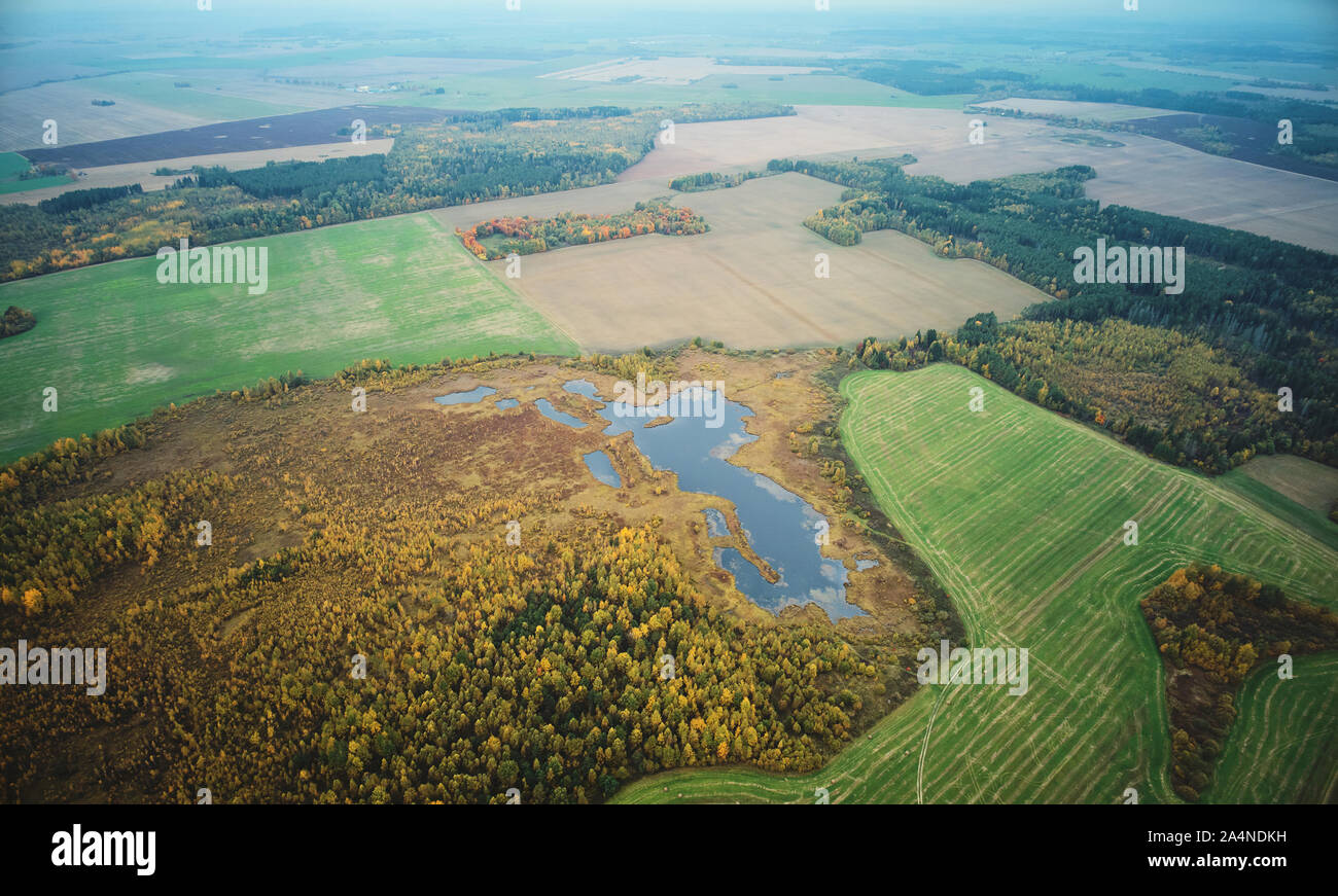 Herbst feld landschaft Luftbild Drohne über der Ansicht von oben Stockfoto