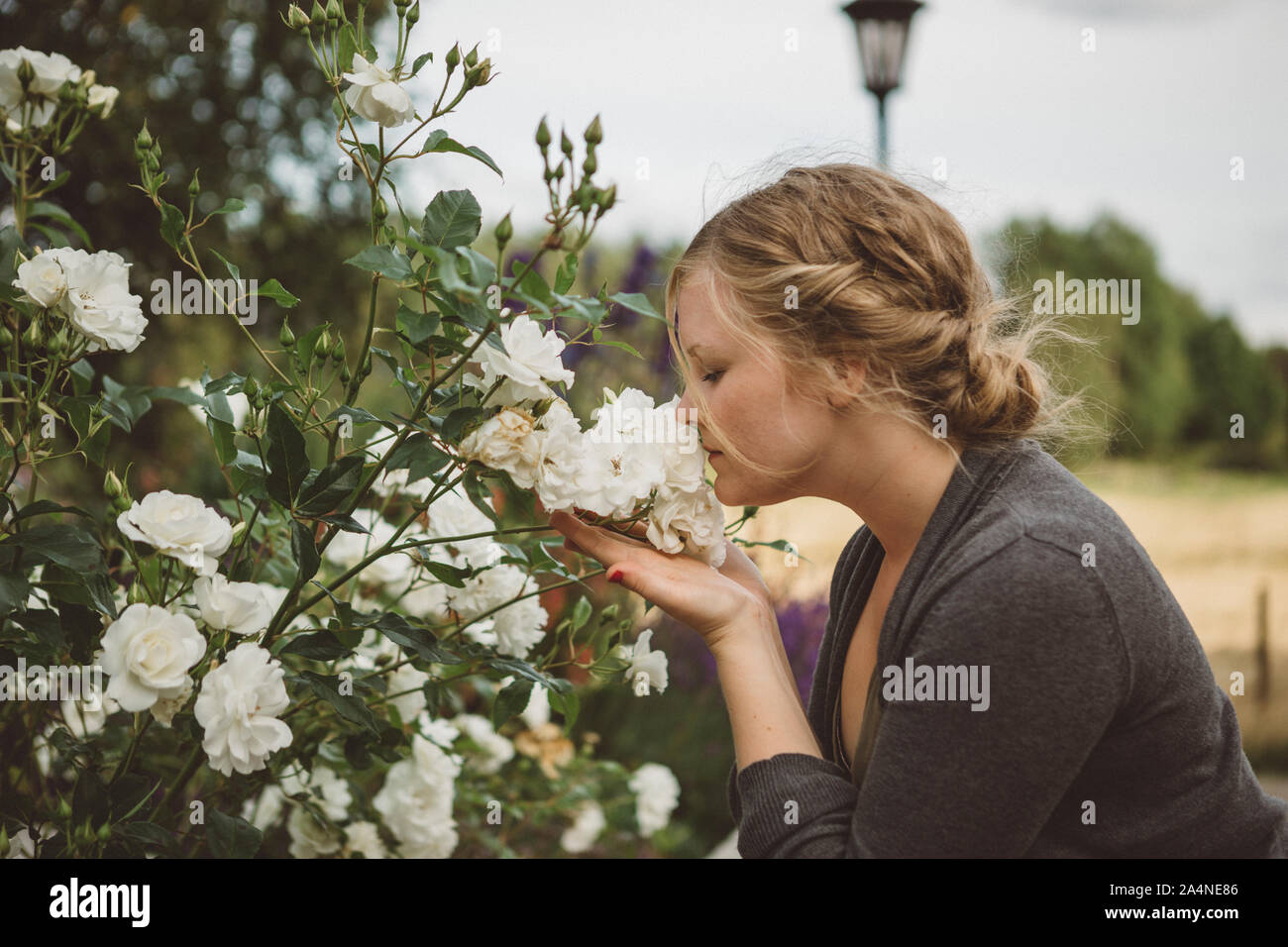 Frau duftende weiße Blume Stockfoto