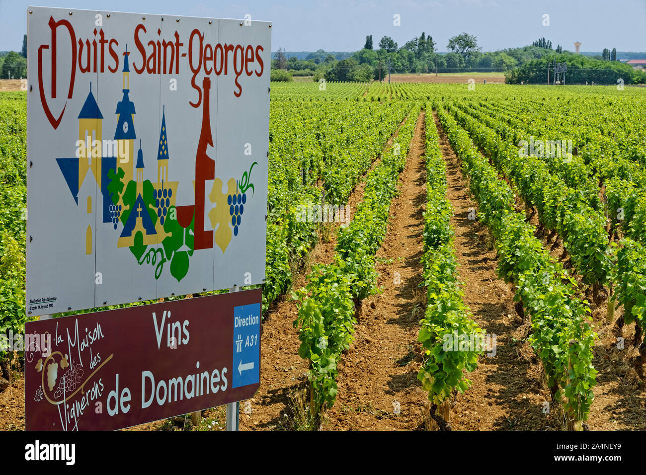 Unterschreiben Sie bei Wein Dorf von Nuits Saint-Georges in der Region Burgund, Bourgogne Franche-Compté, Frankreich. Stockfoto