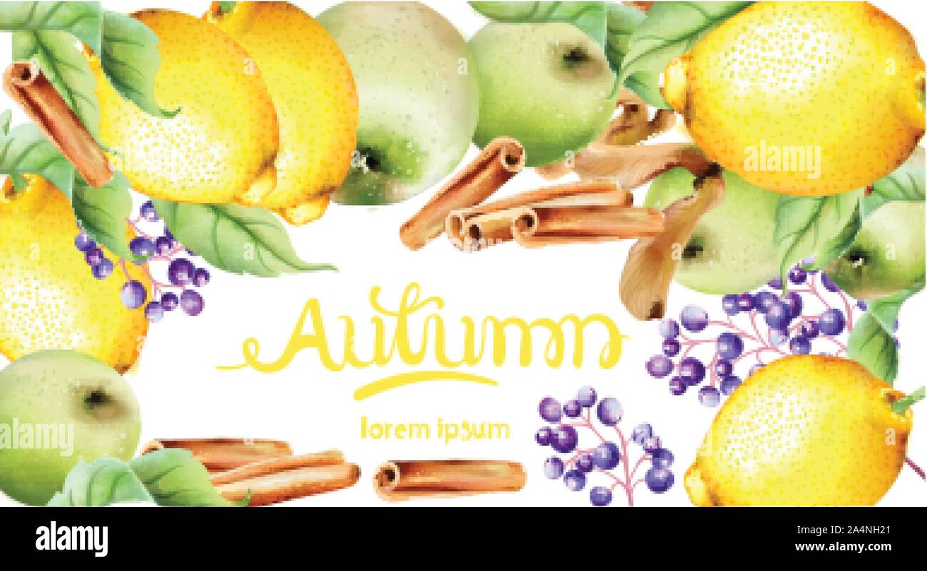Herbst Früchte und Blätter Vektor Karte. Isolierte Hintergrund. Apfel, Zimt und Blätter Stock Vektor