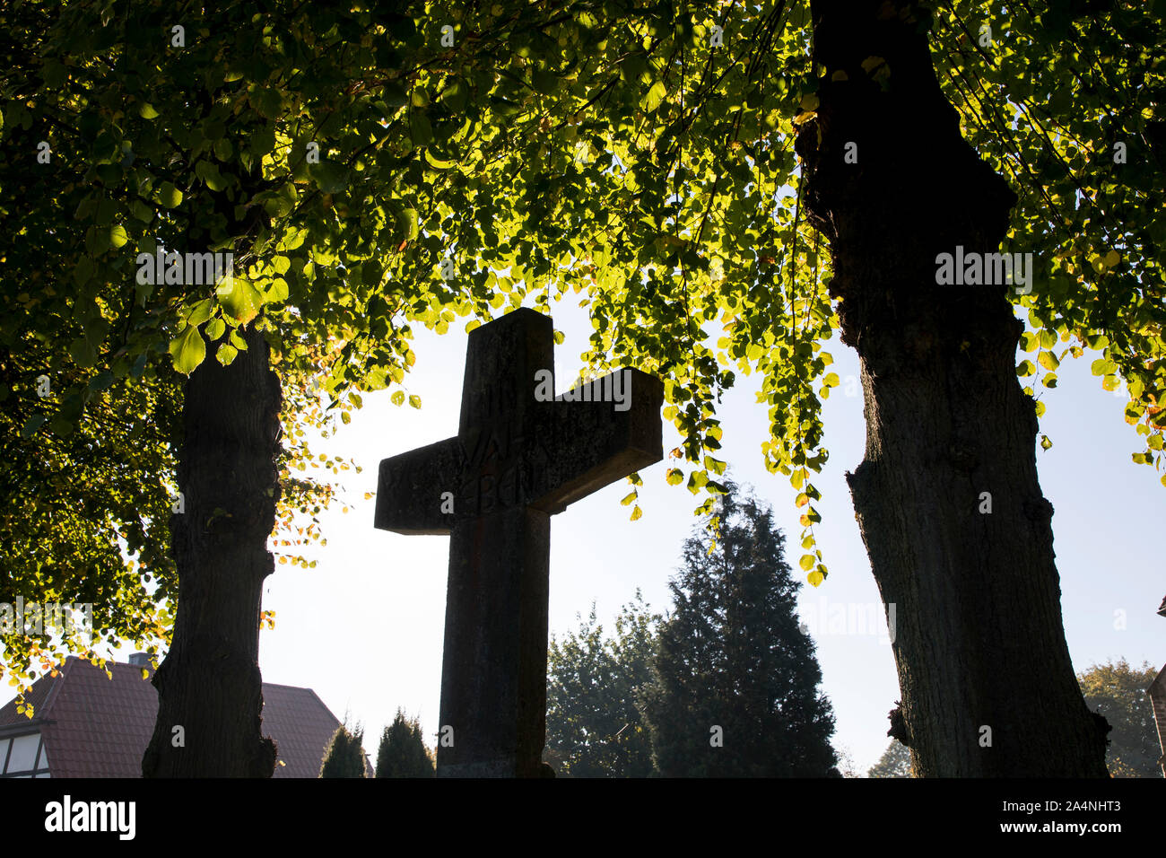 Big grab Kreuz aus Stein, auf einem Friedhof, unter Bäumen, Stockfoto