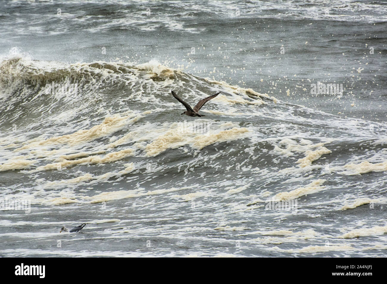 Stürmische Wellen sind spannend zu beobachten und jeden Kamm der Welle ist anders. Stockfoto