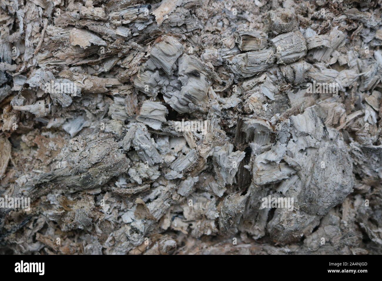 Nahaufnahme der grauen Asche verbrannt Stockfoto