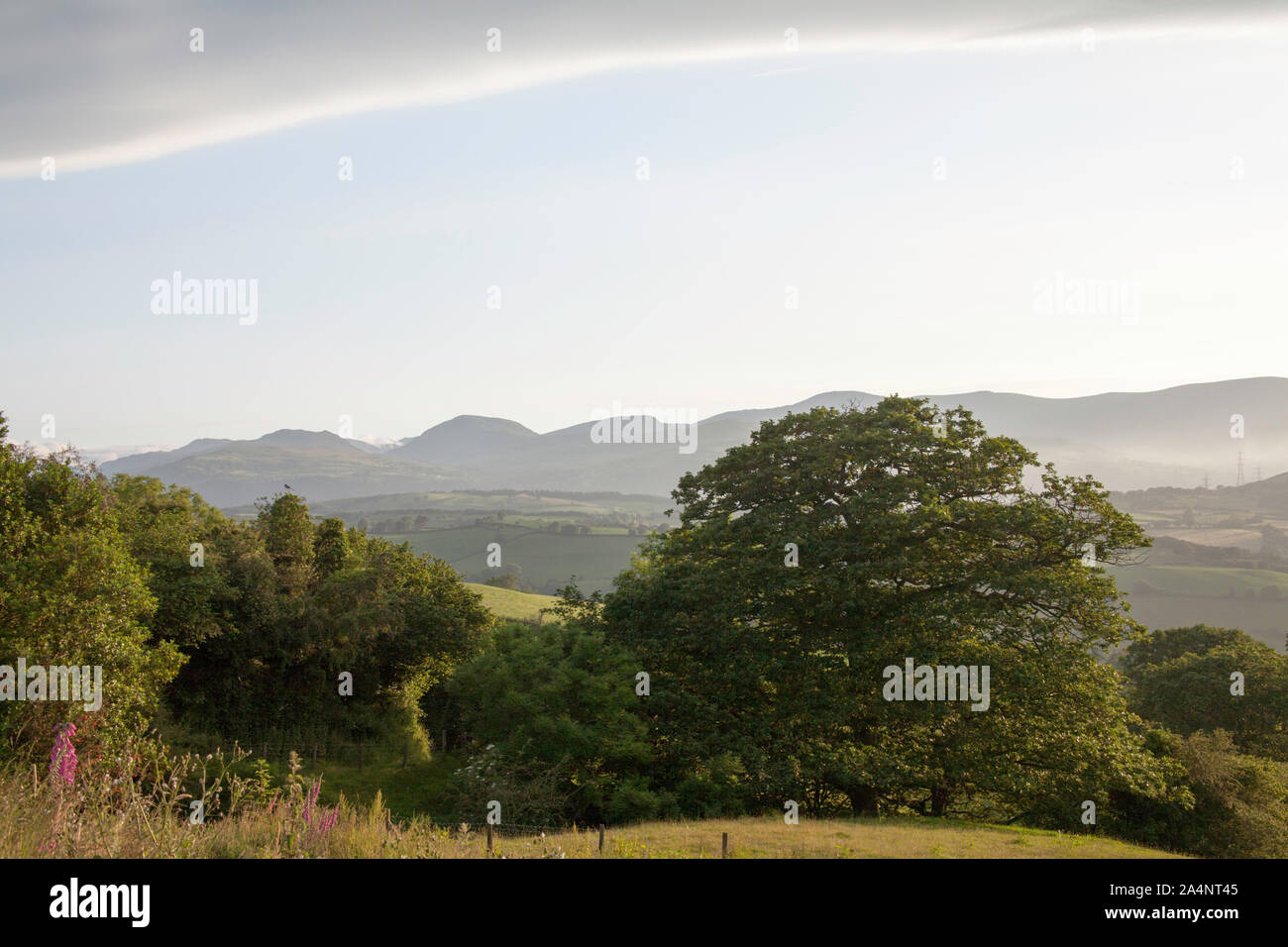 Cloud framing Berge entlang das Tal von Conwy in die Berge von Snowdonia an einem Sommermorgen in der Nähe des Dorfes Eglwysbach Conwy in Wales Stockfoto