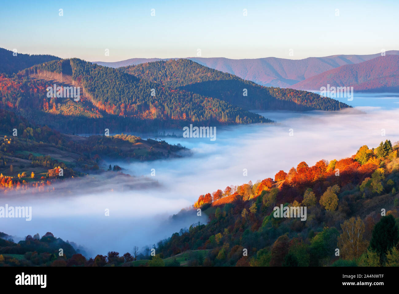 Schönen Herbst Landschaft mit Tal Nebel. Wunderbare Natur Landschaft bei Sonnenaufgang. Bergkette in der Ferne. Stockfoto