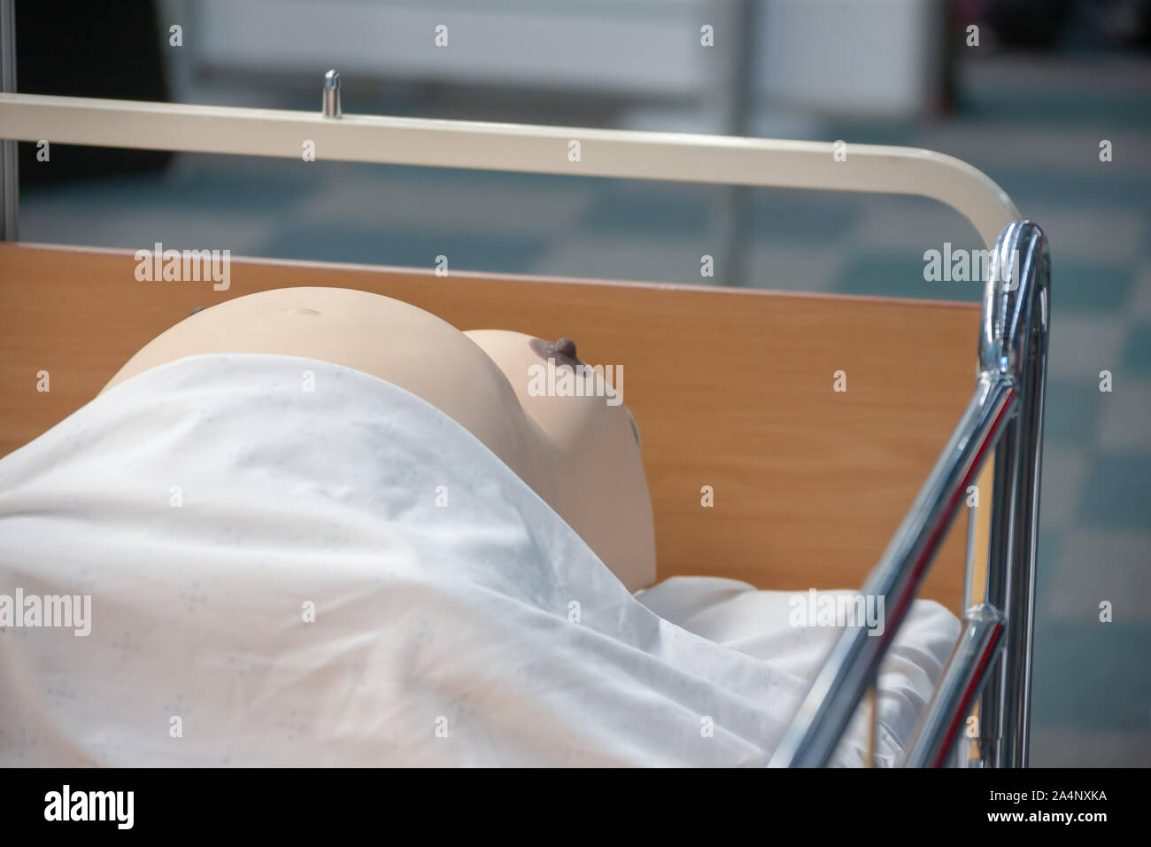 Schwangere mannequin für die Ausbildung in der medizinischen Welt Stockfoto