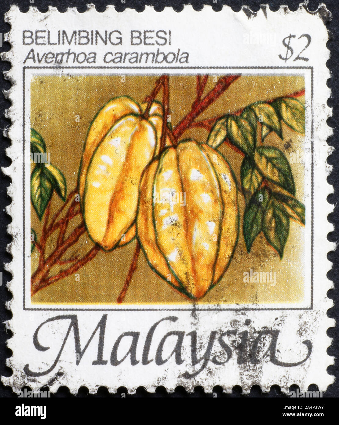 Starfruit auf Briefmarke von Malaysia Stockfoto