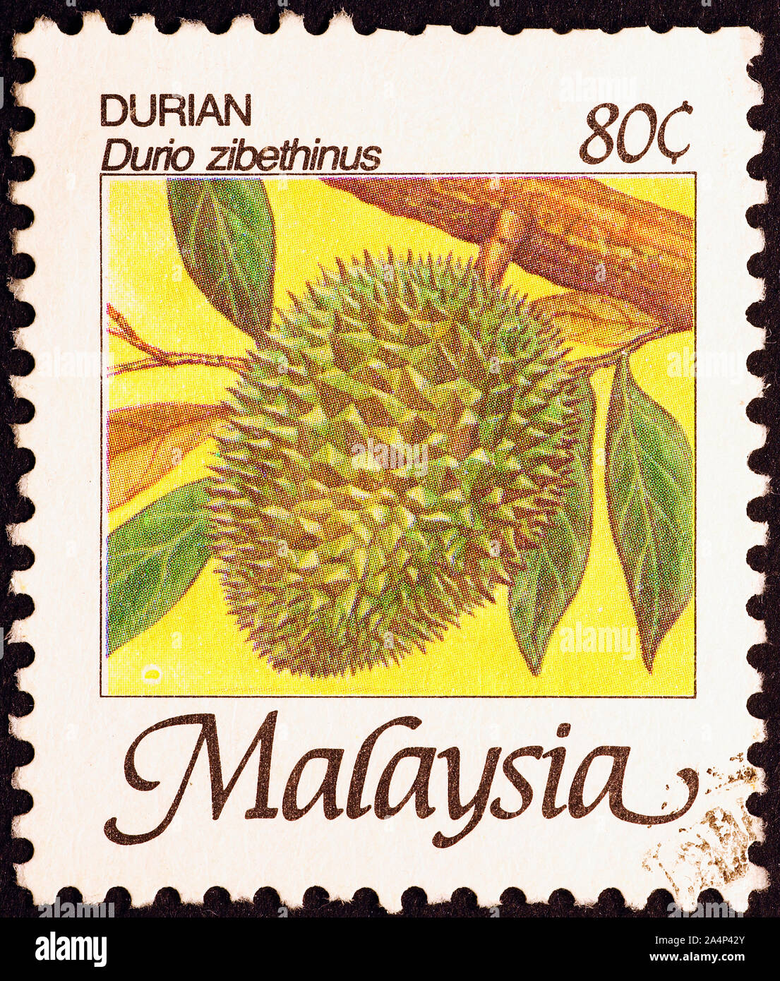 Durian Frucht auf Briefmarke von Malaysia Stockfoto