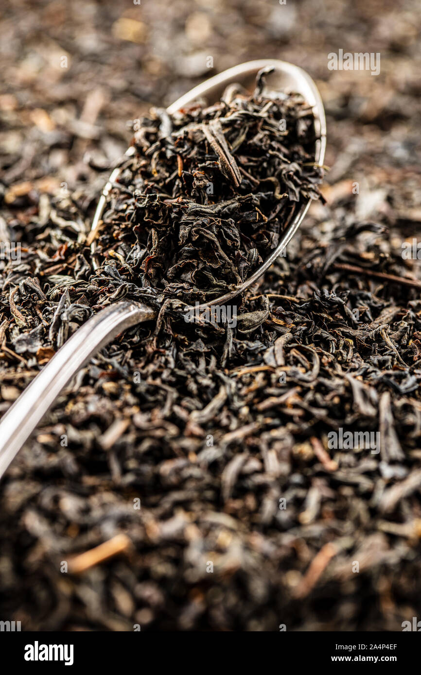 Getrocknete schwarze Teeblätter in Löffel. Stockfoto