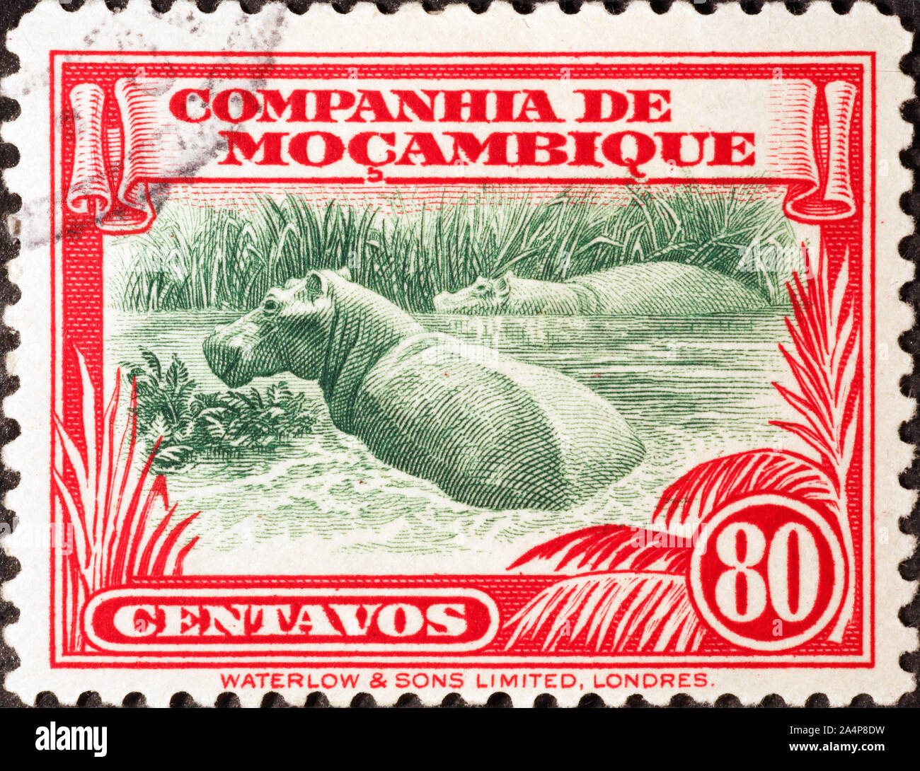Hippopotamus auf vintage Briefmarke von Mosambik Stockfoto