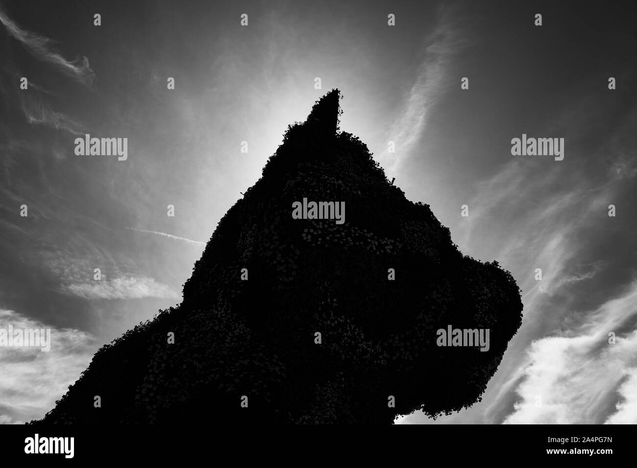 Schwarz-Weiß-Silhouette von Jeff Koons' Puppy-Skulptur vor einem hellen Himmel, Guggenheim-Museum Bilbao, Spanien Stockfoto