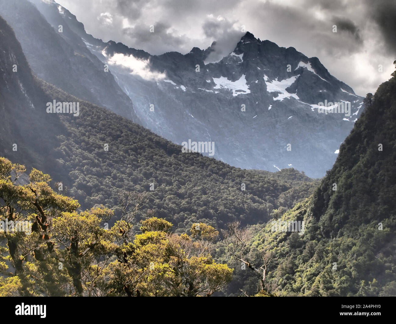 Unberührte und gemäßigten Regenwald Lebensräume im Fjordland National Park, Südinsel Neuseeland Stockfoto