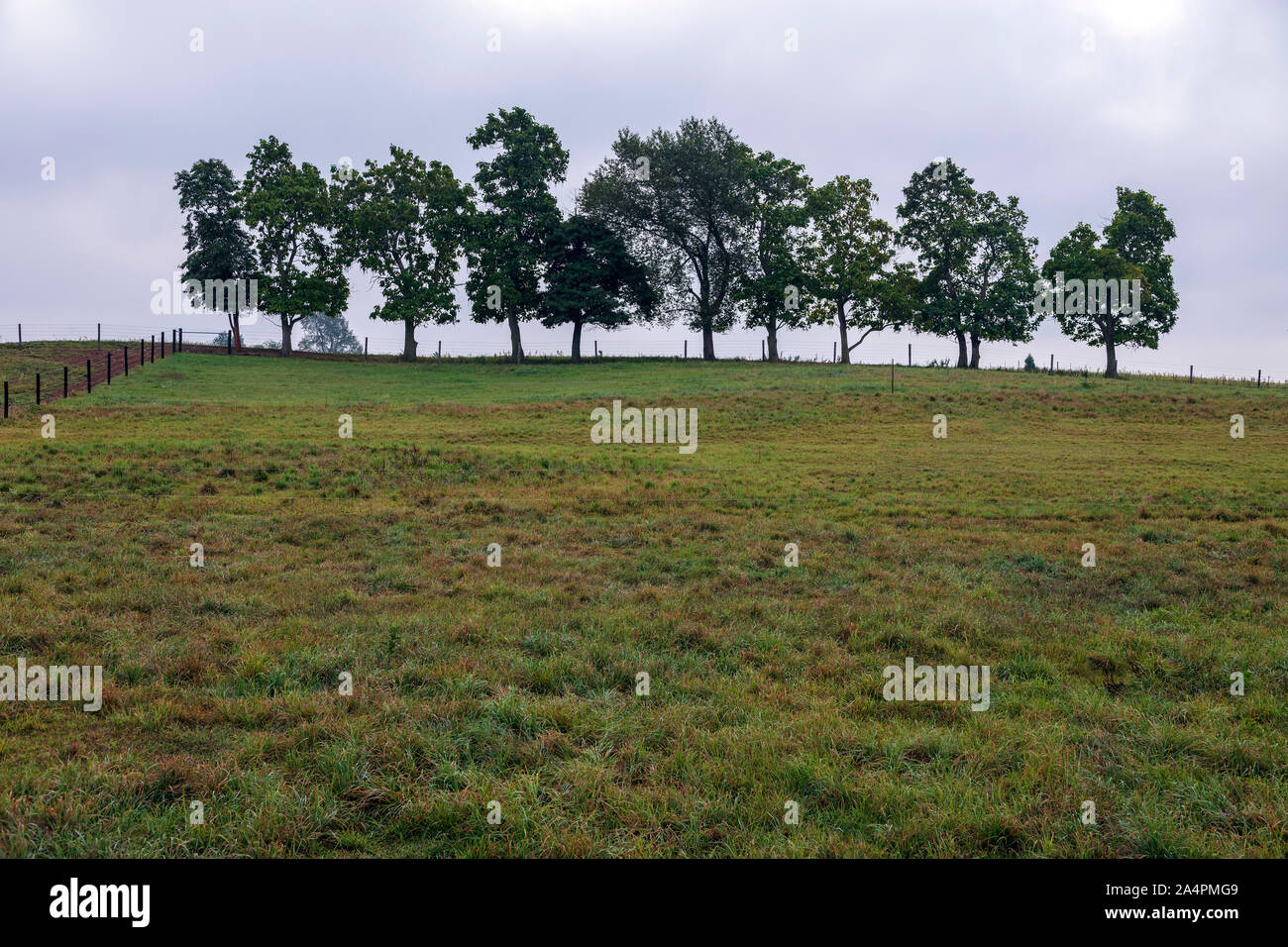 Morgen, Amish Farm, Indiana, USA, Spätsommer, von James D Coppinger/Dembinsky Foto Assoc Stockfoto