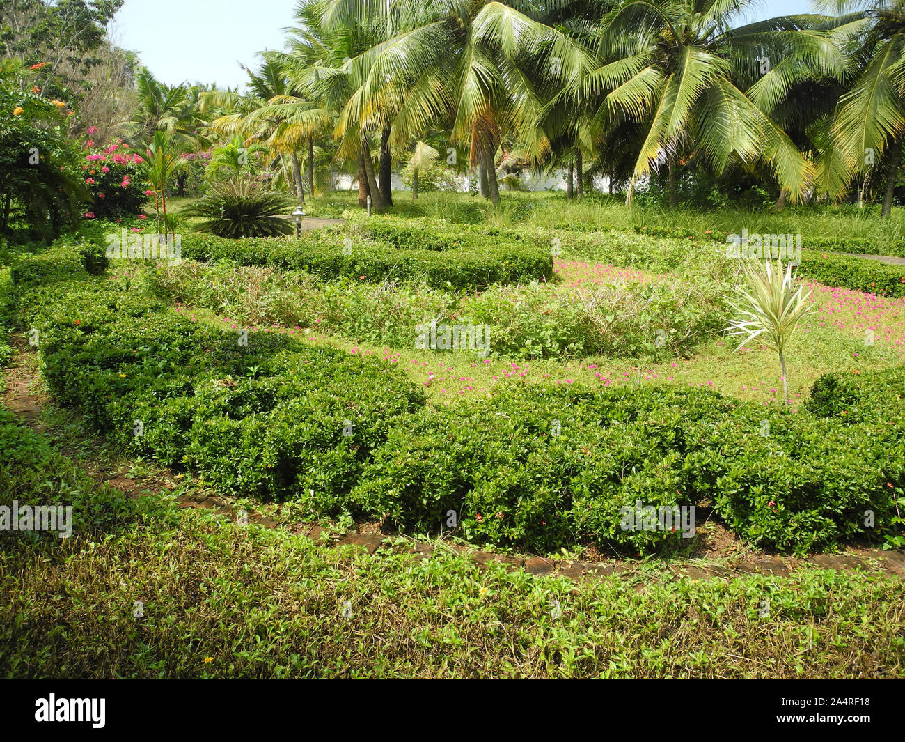 Green Park mit Sträuchern, Blumen und Kokospalmen, Trivandrum, Kerala Stockfoto