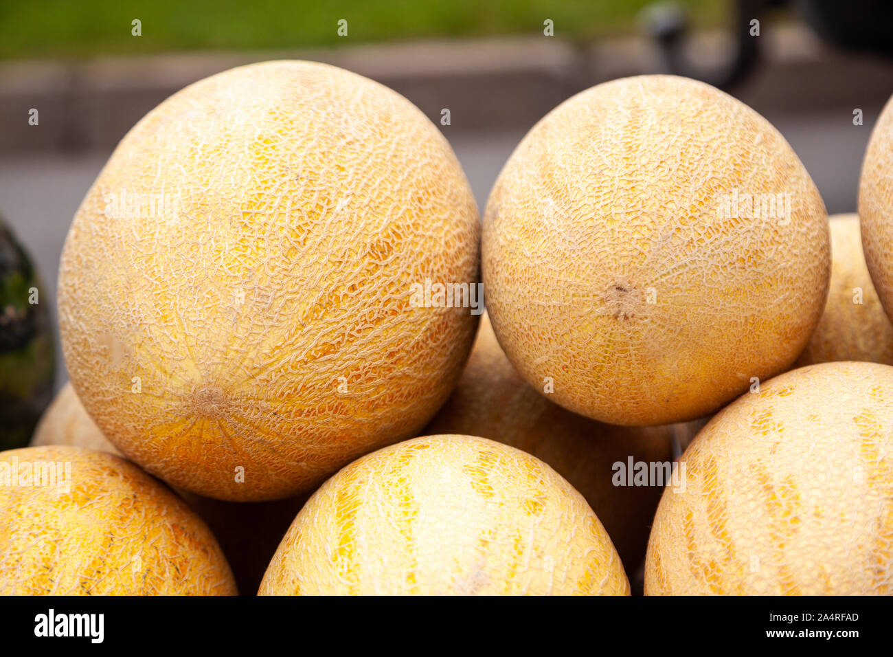Frische gelbe Melone. Viele Melonen der Farmers Market. Honigmelone. Stockfoto