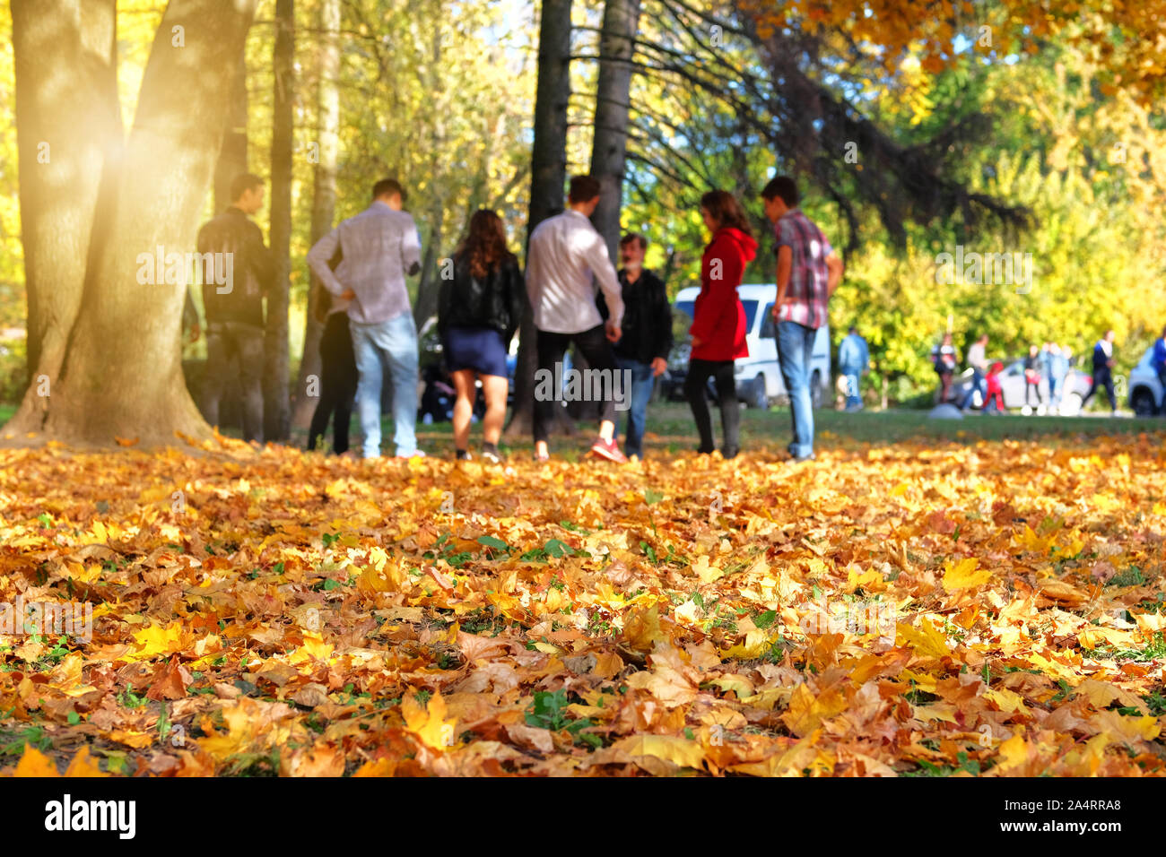 Herbst City Park. Jungen Menschen ist Walking im Park im warmen, sonnigen Herbsttag. Goldene Herbst Blätter. Stockfoto