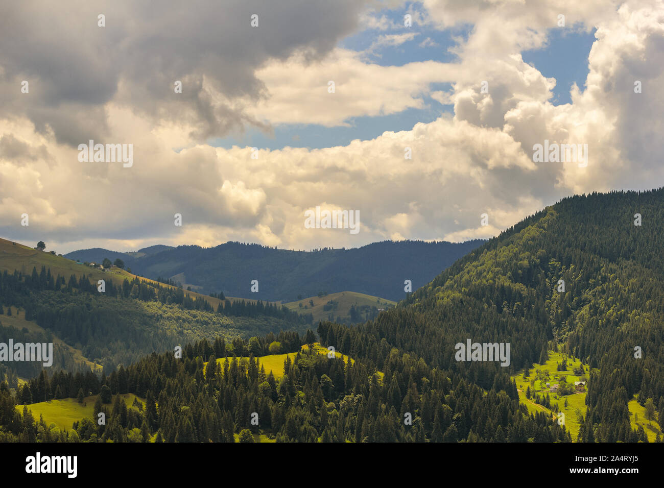 Sommer Landschaft in den Karpaten. Der Gipfel von Wolken und Nebel Stockfoto